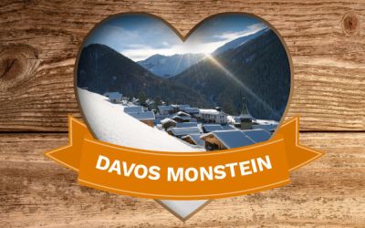 Workshops/Seminare